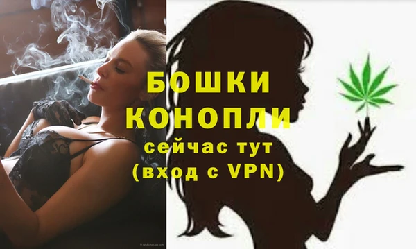 трава Армянск