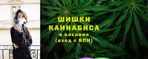 apvp Аркадак