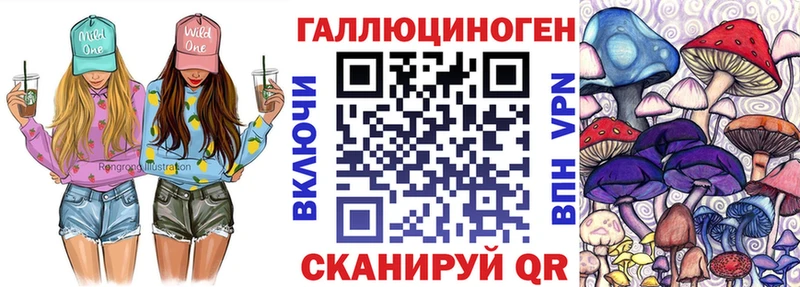 Галлюциногенные грибы MAGIC MUSHROOMS  купить  цена  Мышкин 